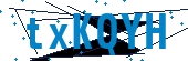 recaptcha