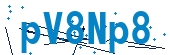 recaptcha