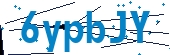 recaptcha