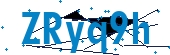 recaptcha
