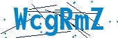 recaptcha