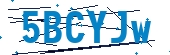 recaptcha