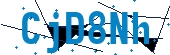 recaptcha