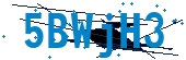 recaptcha